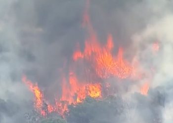 포트워스 서쪽에서 초대형 산불… 진화율 12%에 그쳐'(음성서비스) 9 포트워스 서쪽에서 초대형 산불… 진화율 12%에 그쳐'(음성서비스)