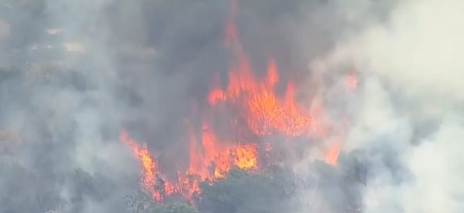 ross fire 0827