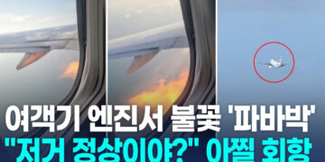 [영상] “저거 정상이야? 불 나는데”…조류충돌로 미 여객기 ‘아찔 회항’