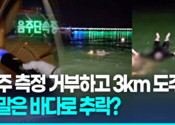 [영상]음주 측정 거부하고 도주한 30대…바다에 빠졌다가 구조
