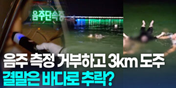 [영상]음주 측정 거부하고 도주한 30대…바다에 빠졌다가 구조