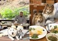 [반려동물] 강아지도 사찰복 입고 스님과 차담…’댕플스테이’ 인기