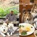 [반려동물] 강아지도 사찰복 입고 스님과 차담…’댕플스테이’ 인기