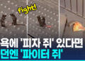 [영상] 뒷발로 서서 치고받고…런던 지하철 쥐 두마리 ‘주먹다짐’ 화제
