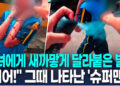 [영상] 벌떼 습격에 소녀 ‘비명 ‘…스프레이 뿌리며 구한 ‘히어로’