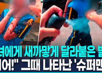 [영상] 벌떼 습격에 소녀 ‘비명 ‘…스프레이 뿌리며 구한 ‘히어로’