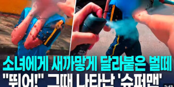 [영상] 벌떼 습격에 소녀 ‘비명 ‘…스프레이 뿌리며 구한 ‘히어로’