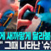 [영상] 벌떼 습격에 소녀 ‘비명 ‘…스프레이 뿌리며 구한 ‘히어로’