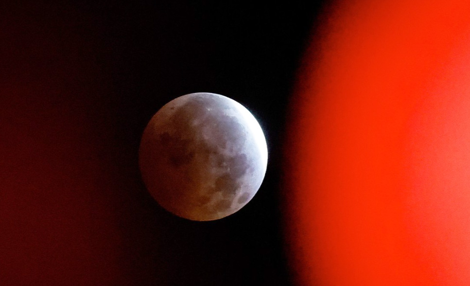 moon 1005